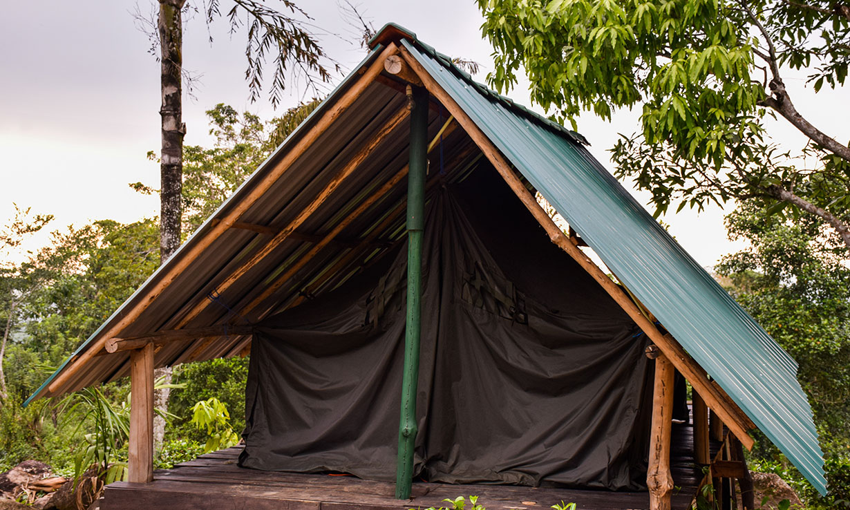 Standard Tent Elevated